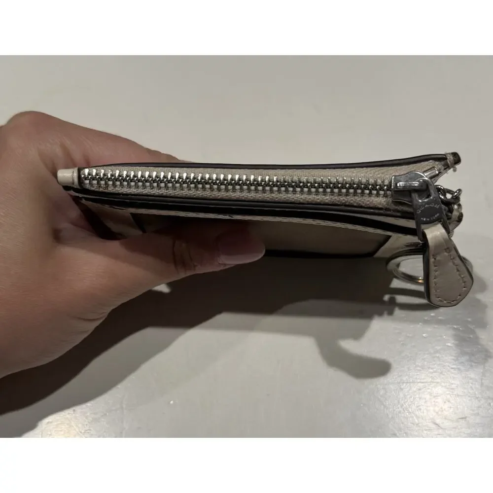 Coach mini skinny